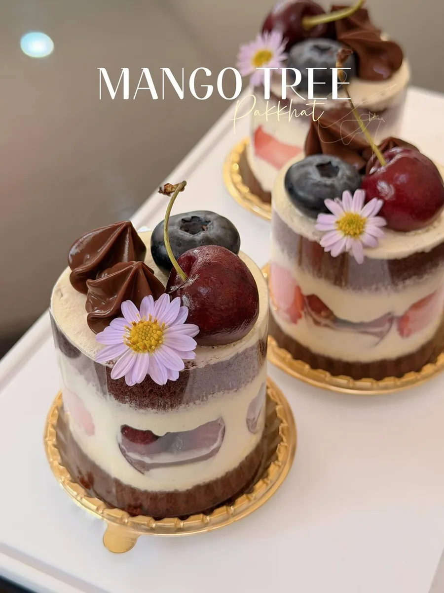 Mango Tree gallery