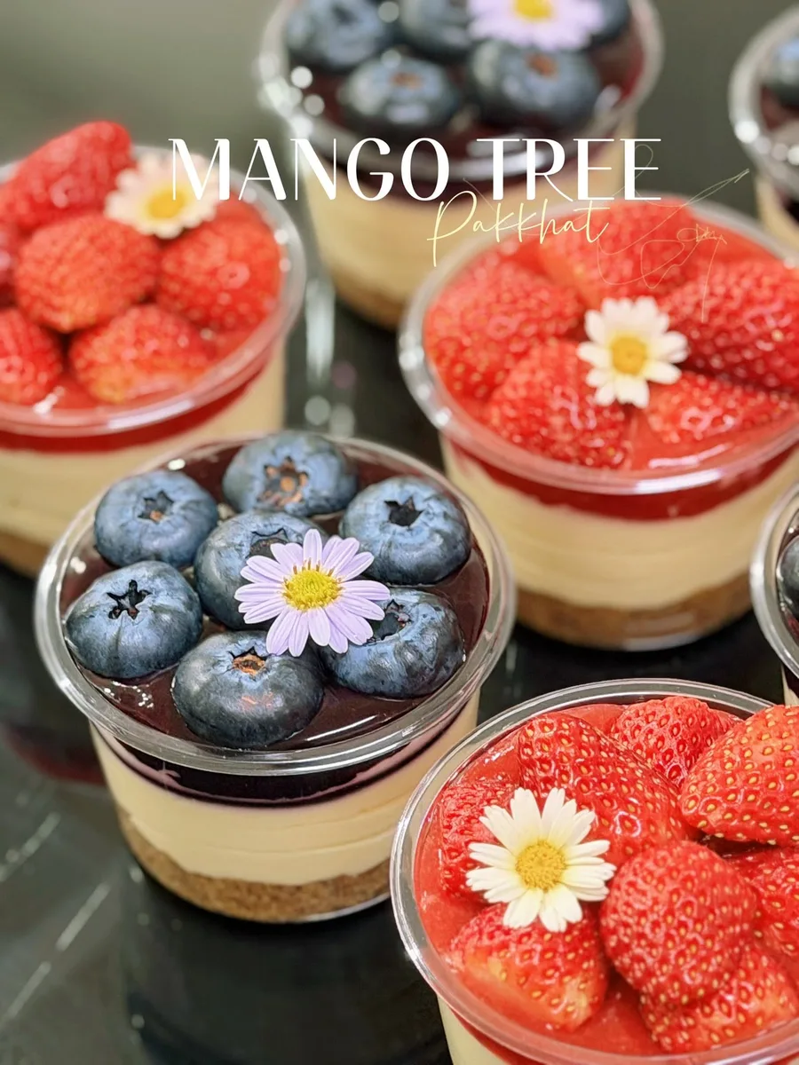 Mango Tree gallery