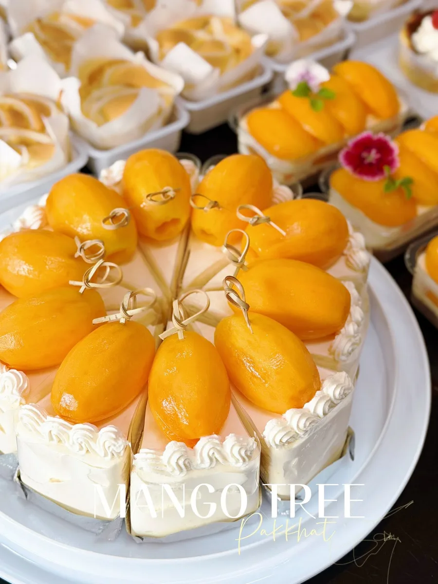 Mango Tree gallery