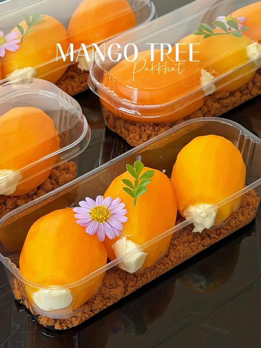 Mango Tree gallery