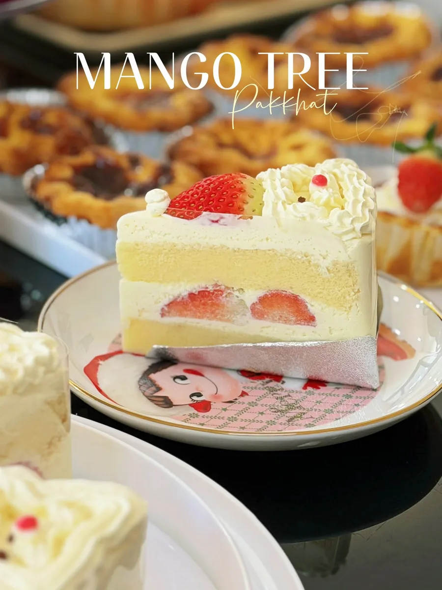 Mango Tree gallery