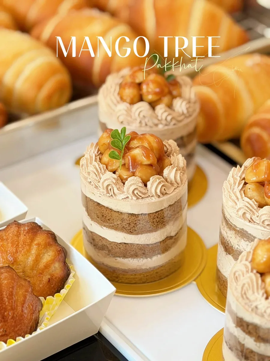 Mango Tree gallery