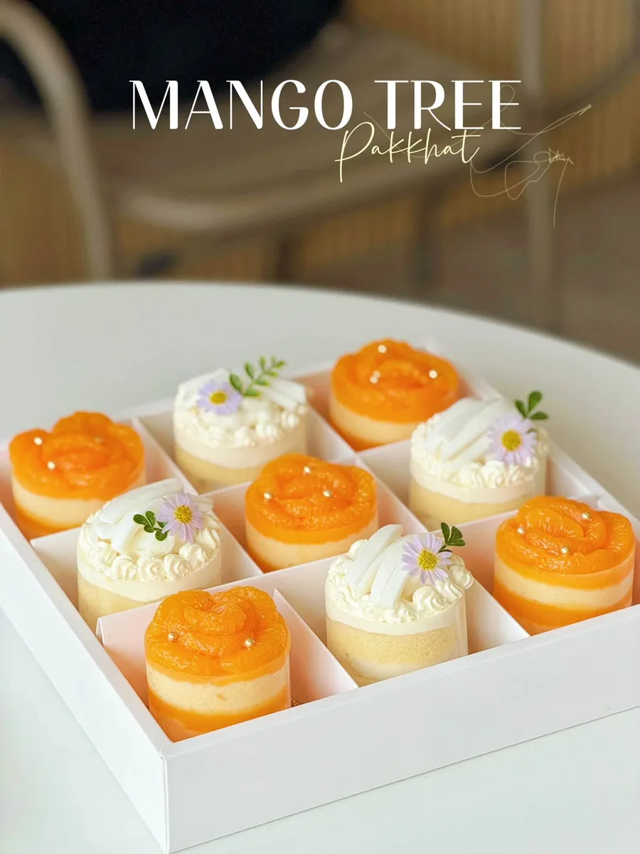 Mango Tree gallery