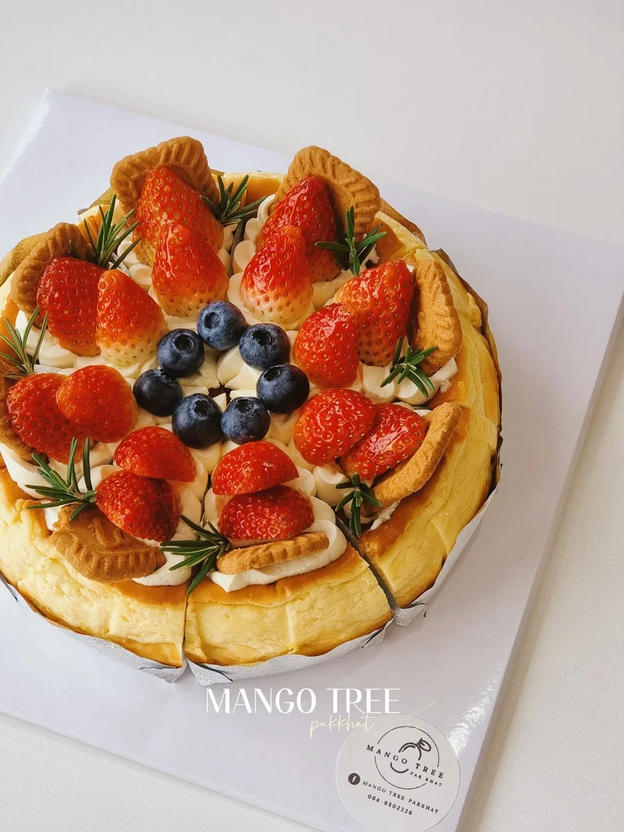 Mango Tree gallery