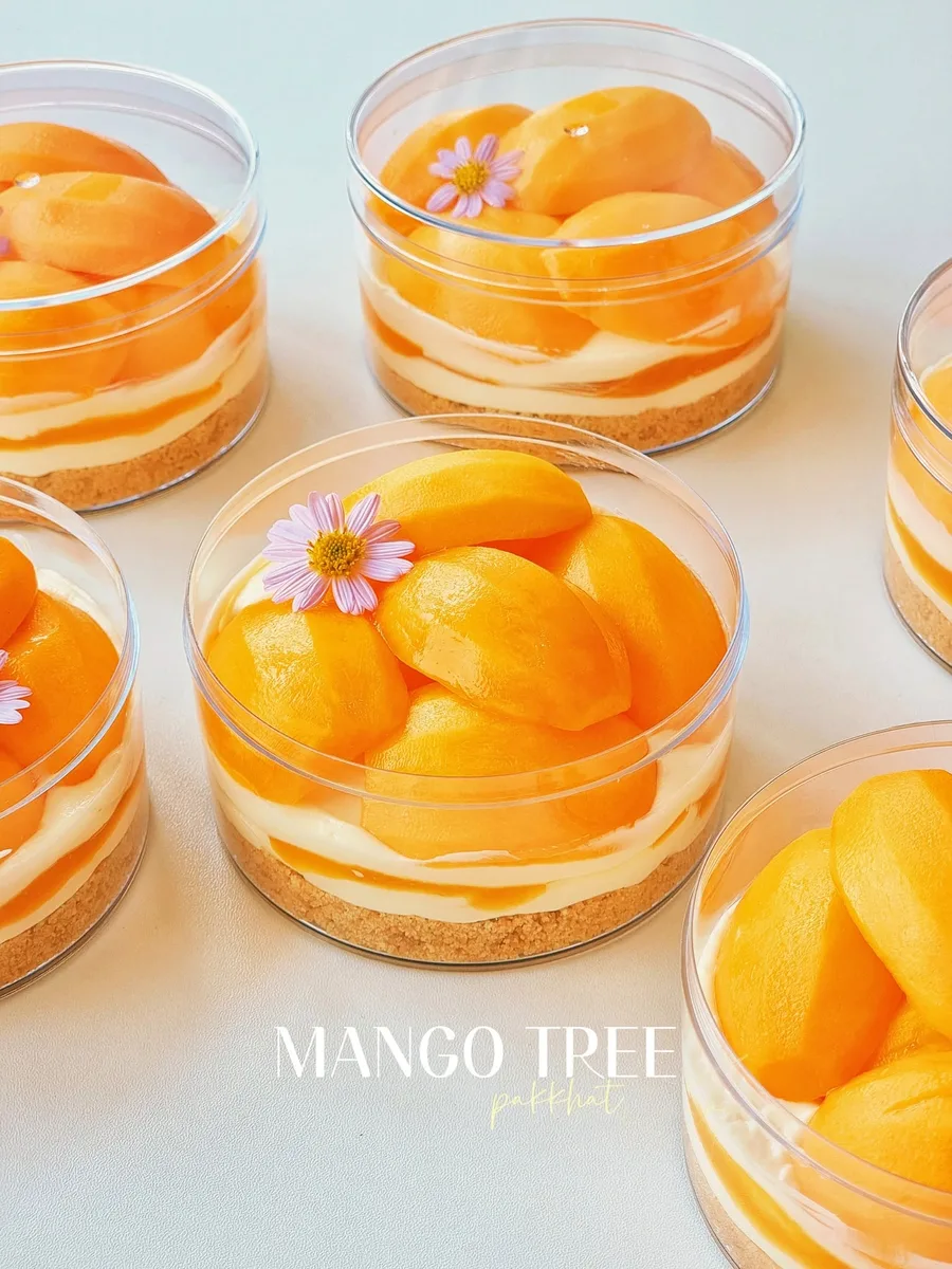 Mango Tree gallery