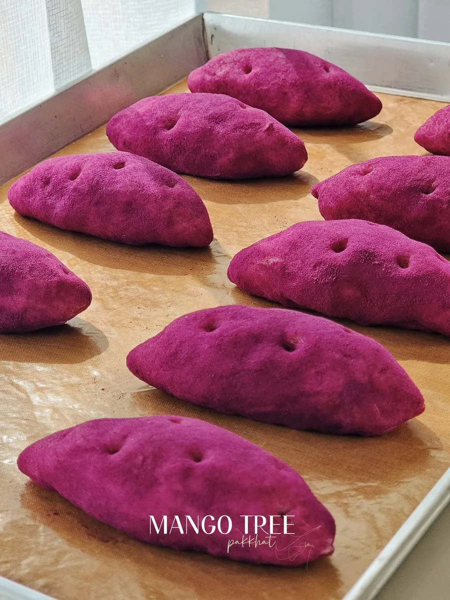 Mango Tree gallery