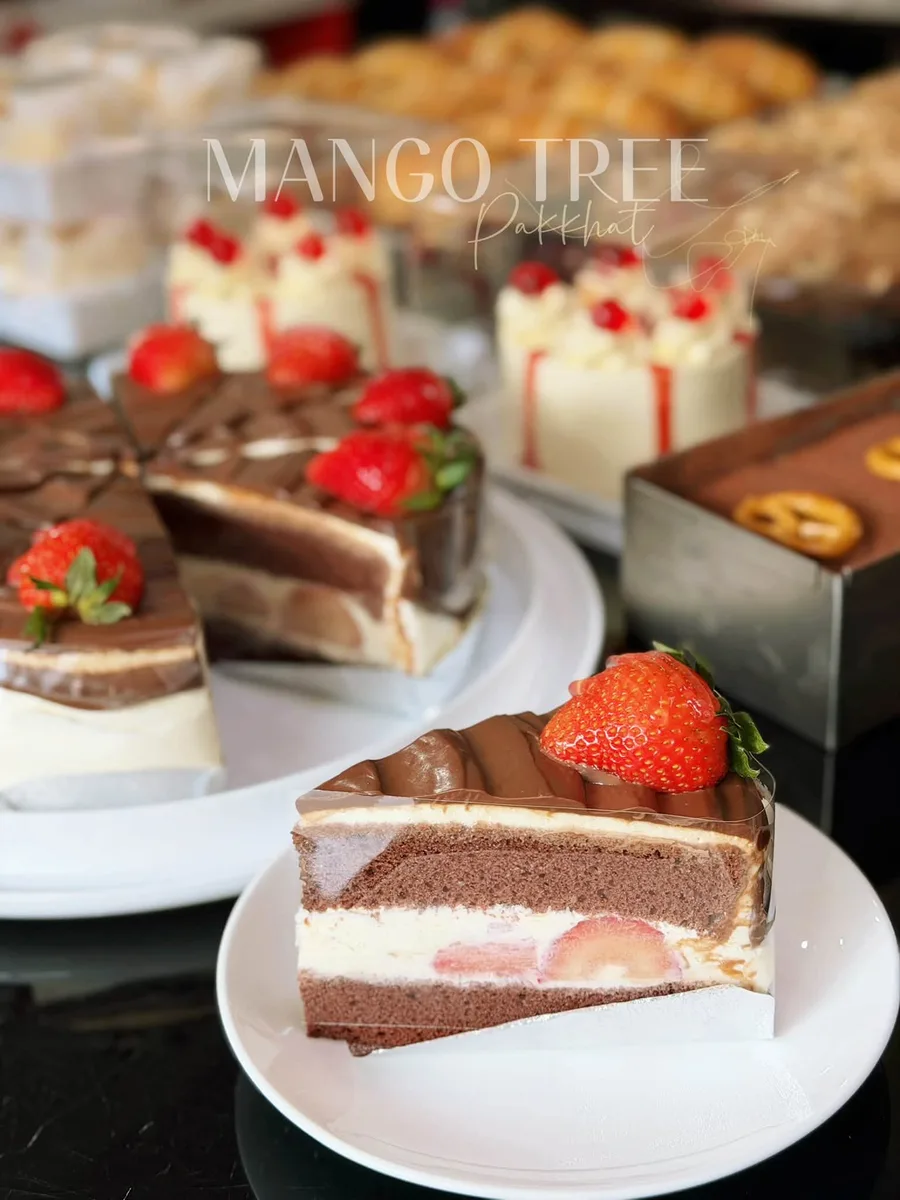 Mango Tree gallery