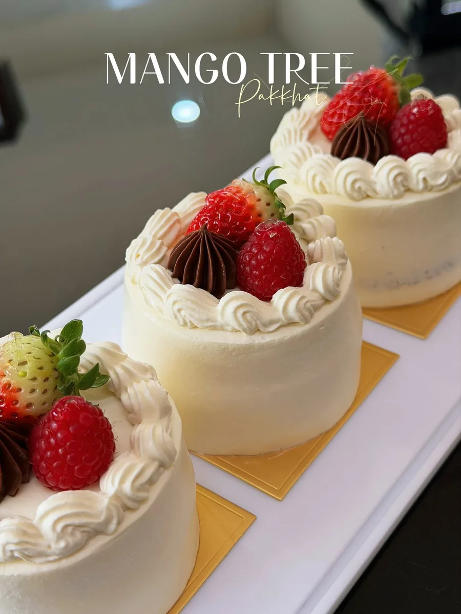 Mango Tree gallery