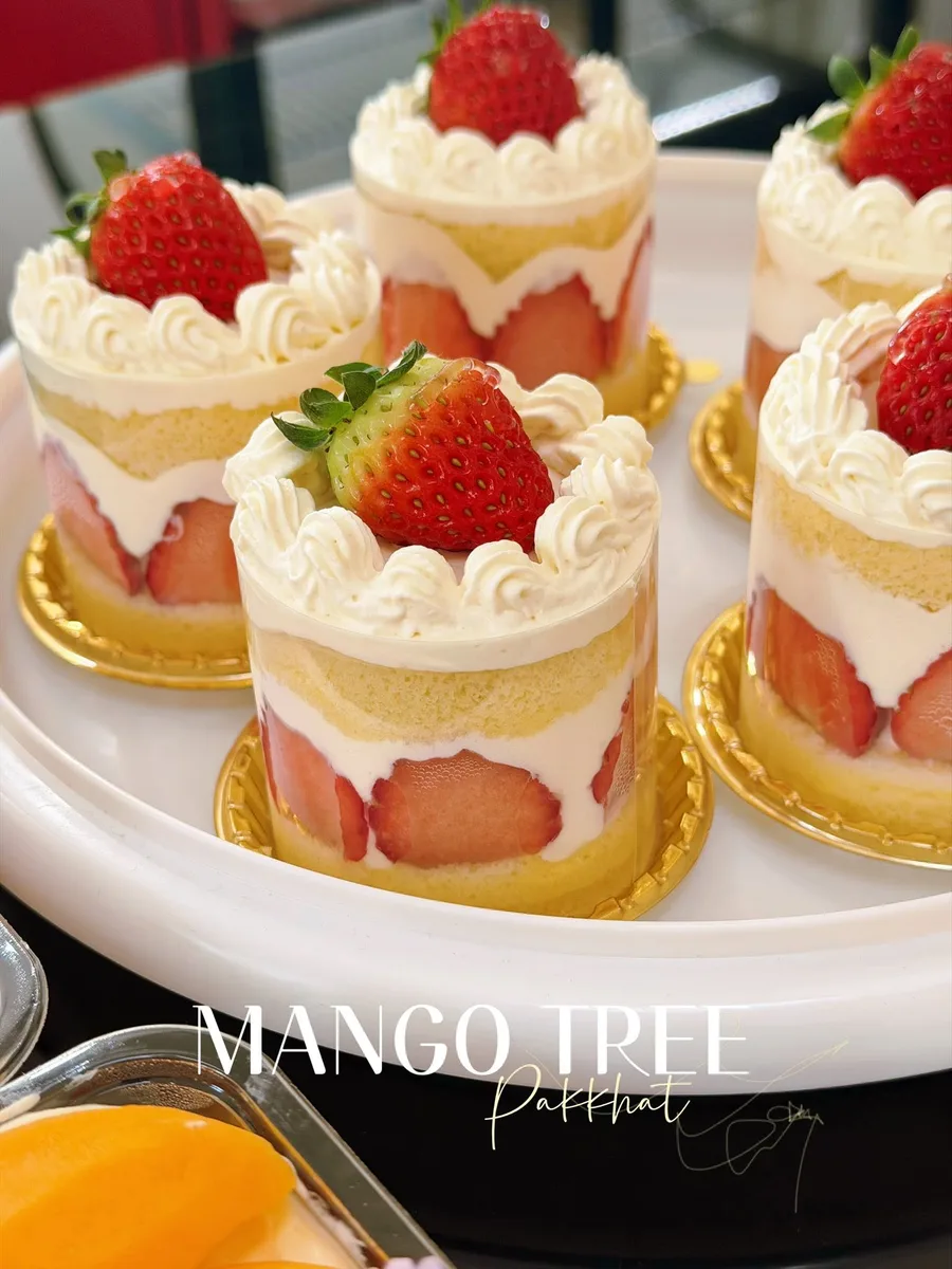 Mango Tree gallery