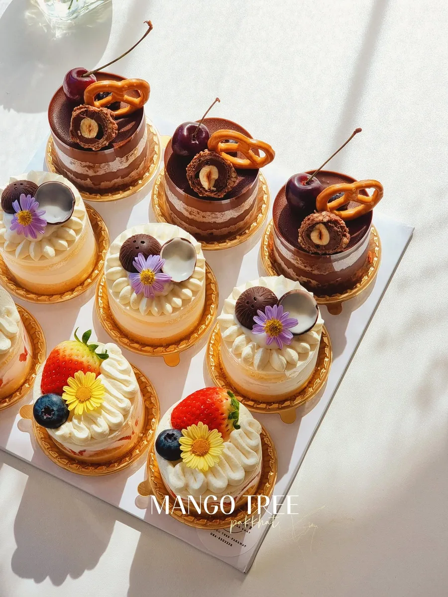 Mango Tree gallery