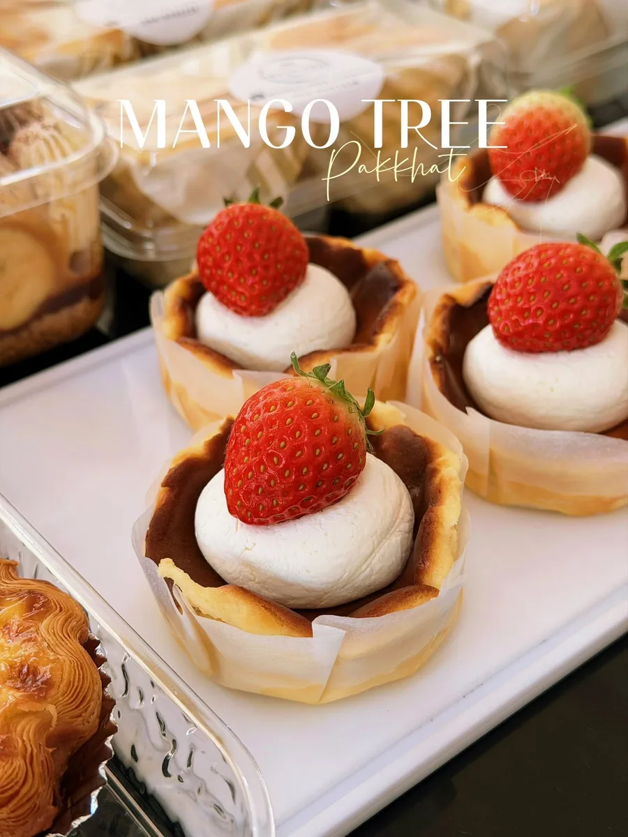 Mango Tree gallery