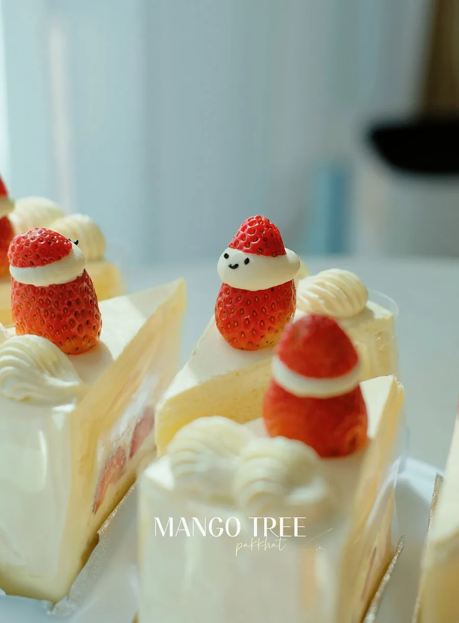 Mango Tree gallery
