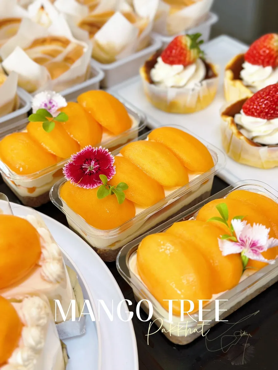 Mango Tree gallery