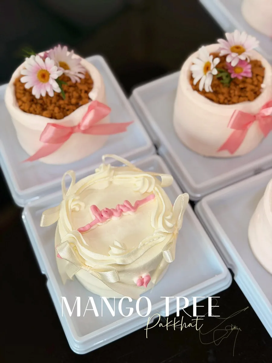 Mango Tree gallery